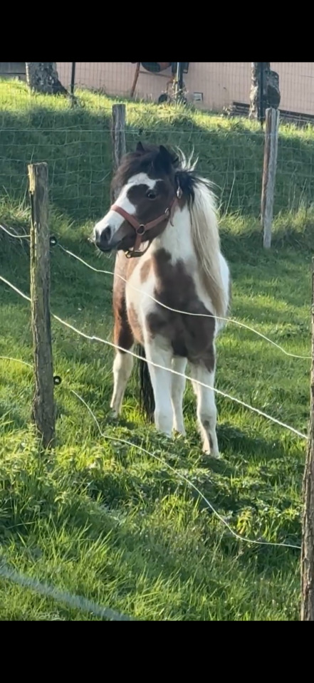 O&rsquo;takey d&rsquo;aram