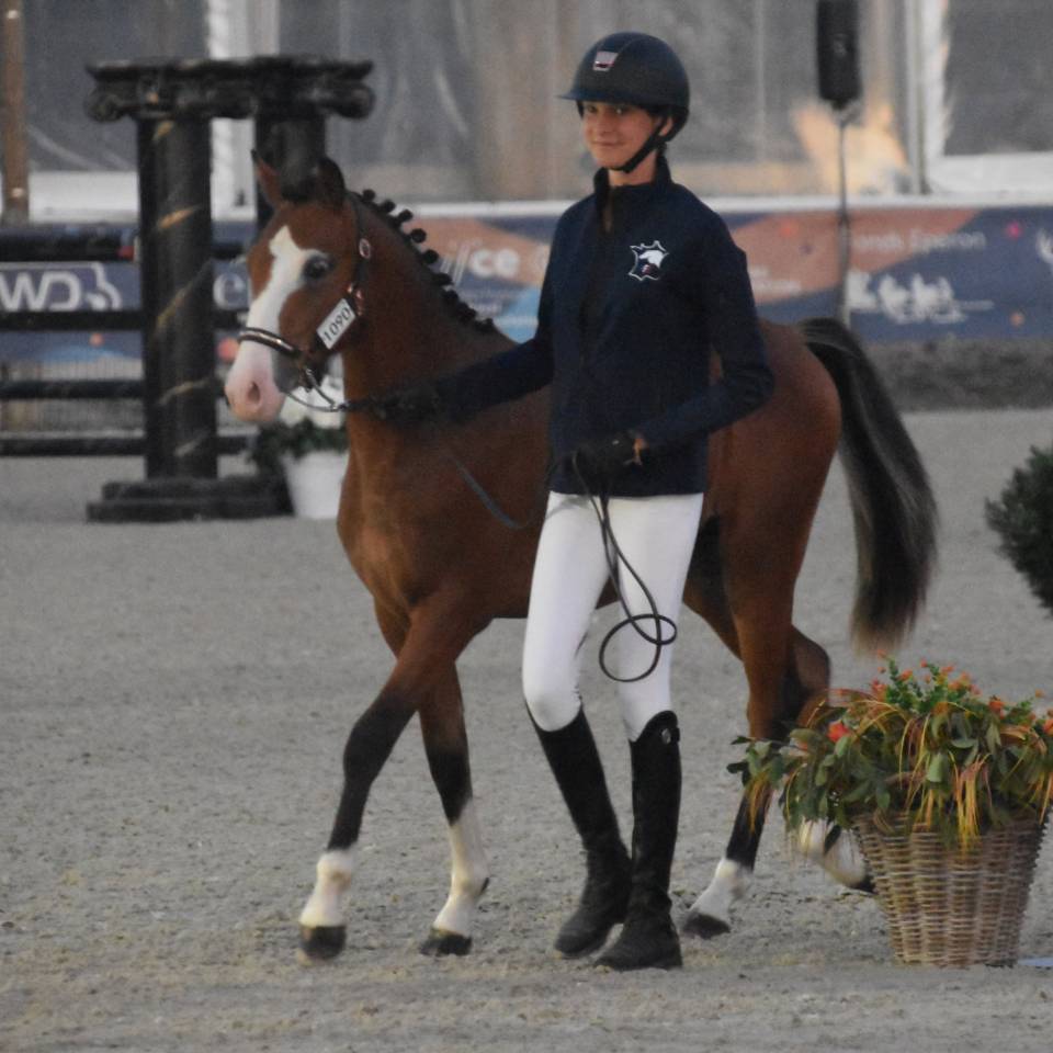 A VENDRE PFS DE 2 ANS CHAMPION DE FRANCE