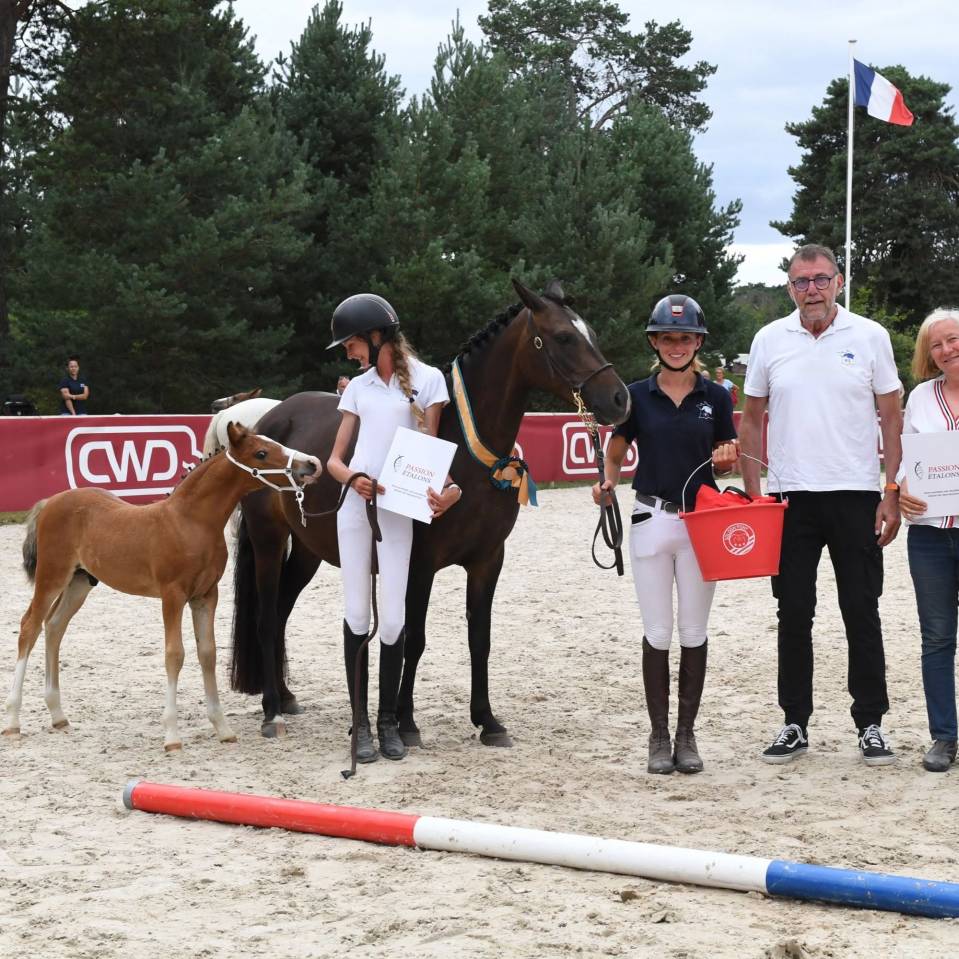 A VENDRE PFS DE 2 ANS CHAMPION DE FRANCE