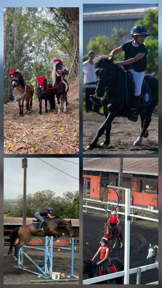 moniteur ou monitrice d'&eacute;quitation dipl&ocirc;m&eacute;(e)