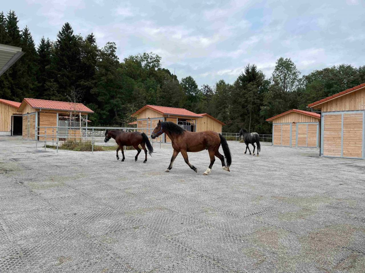 Pension en &eacute;curie active 