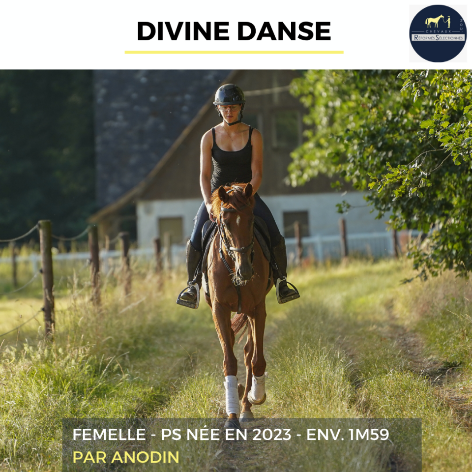 DIVINE DANSE - PS - 3 ANS