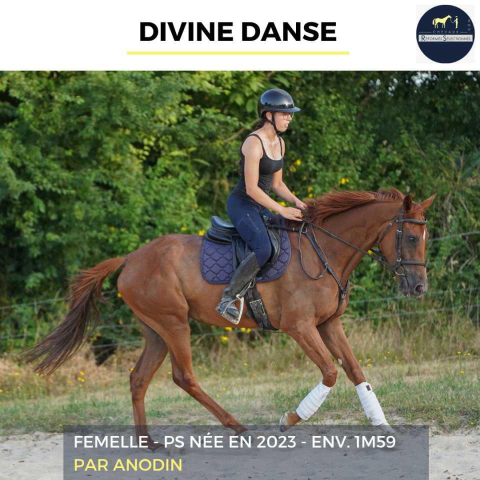 DIVINE DANSE - PS - 3 ANS