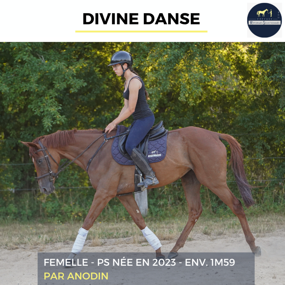 DIVINE DANSE - PS - 3 ANS