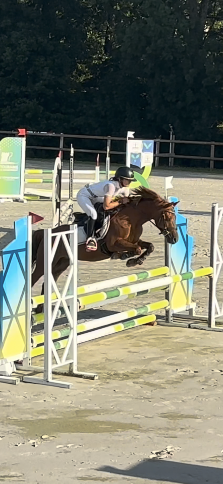 Poney C de sport 