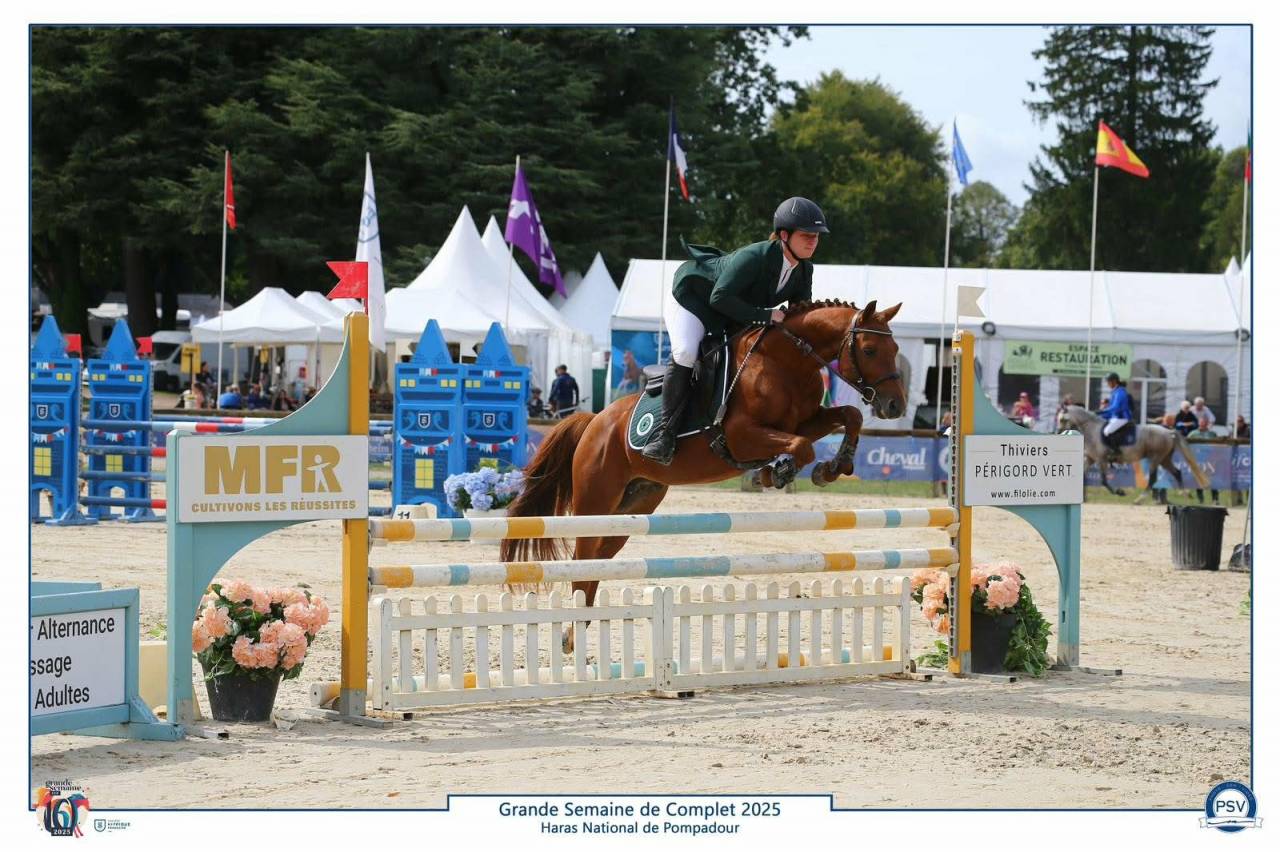Poney C de sport 