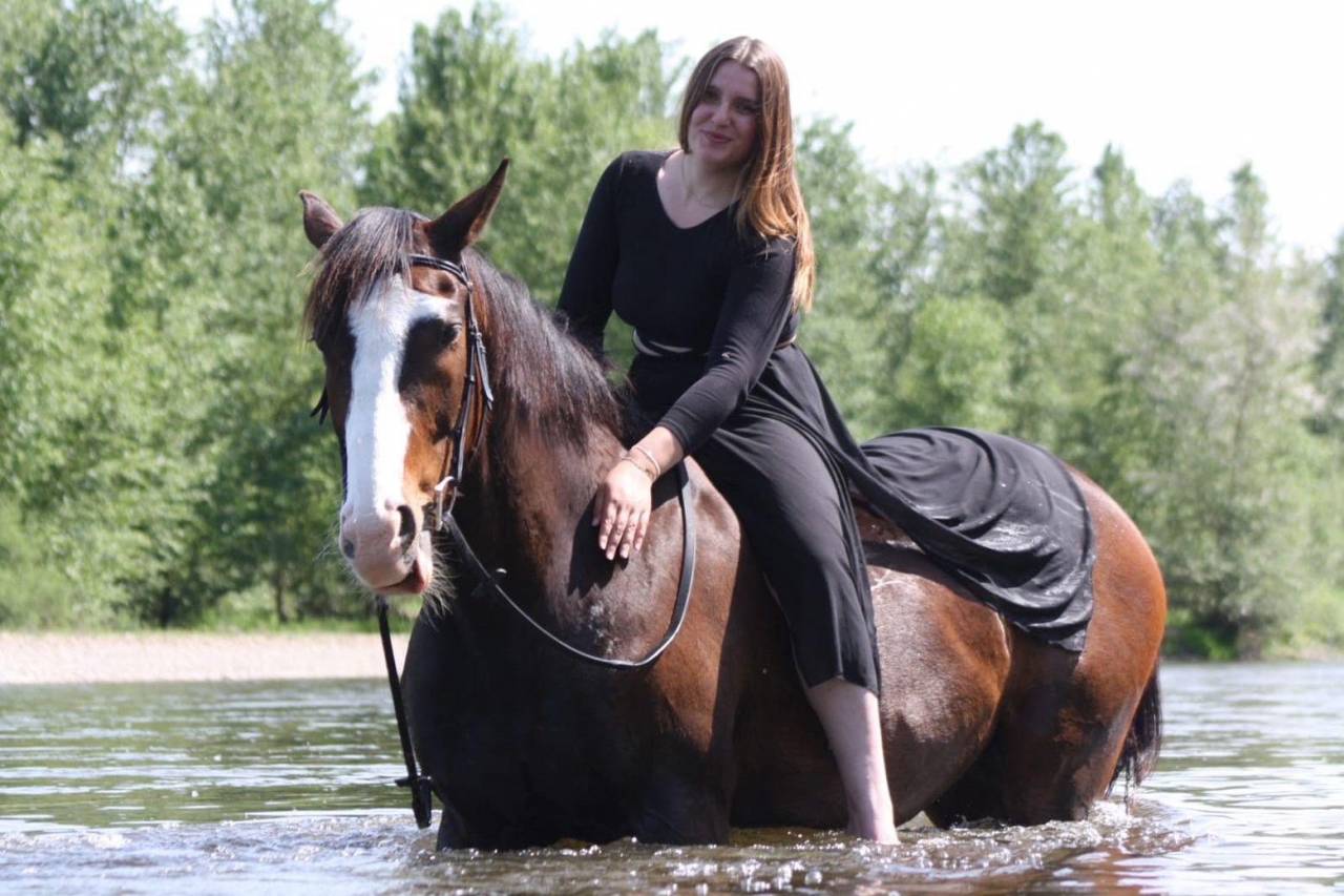Hongre cheval 