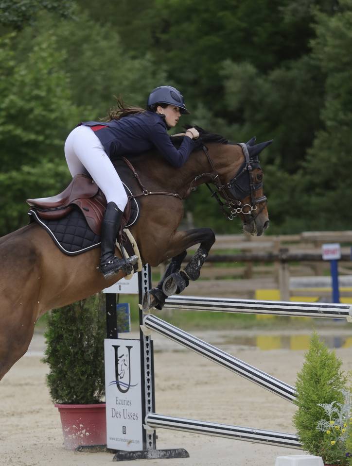 Jument de Sport a louer pour minimum un an