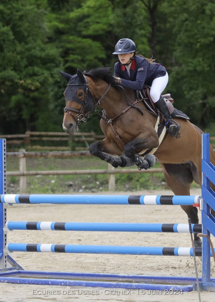 Jument de Sport a louer pour minimum un an