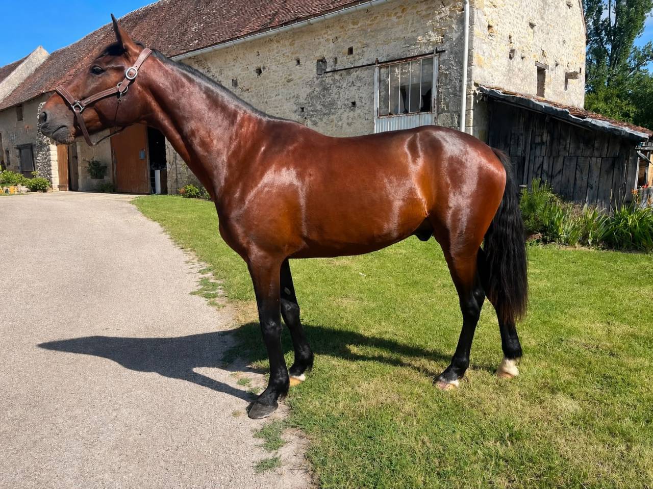 Lunderthaker adorable trotteur de 5ans