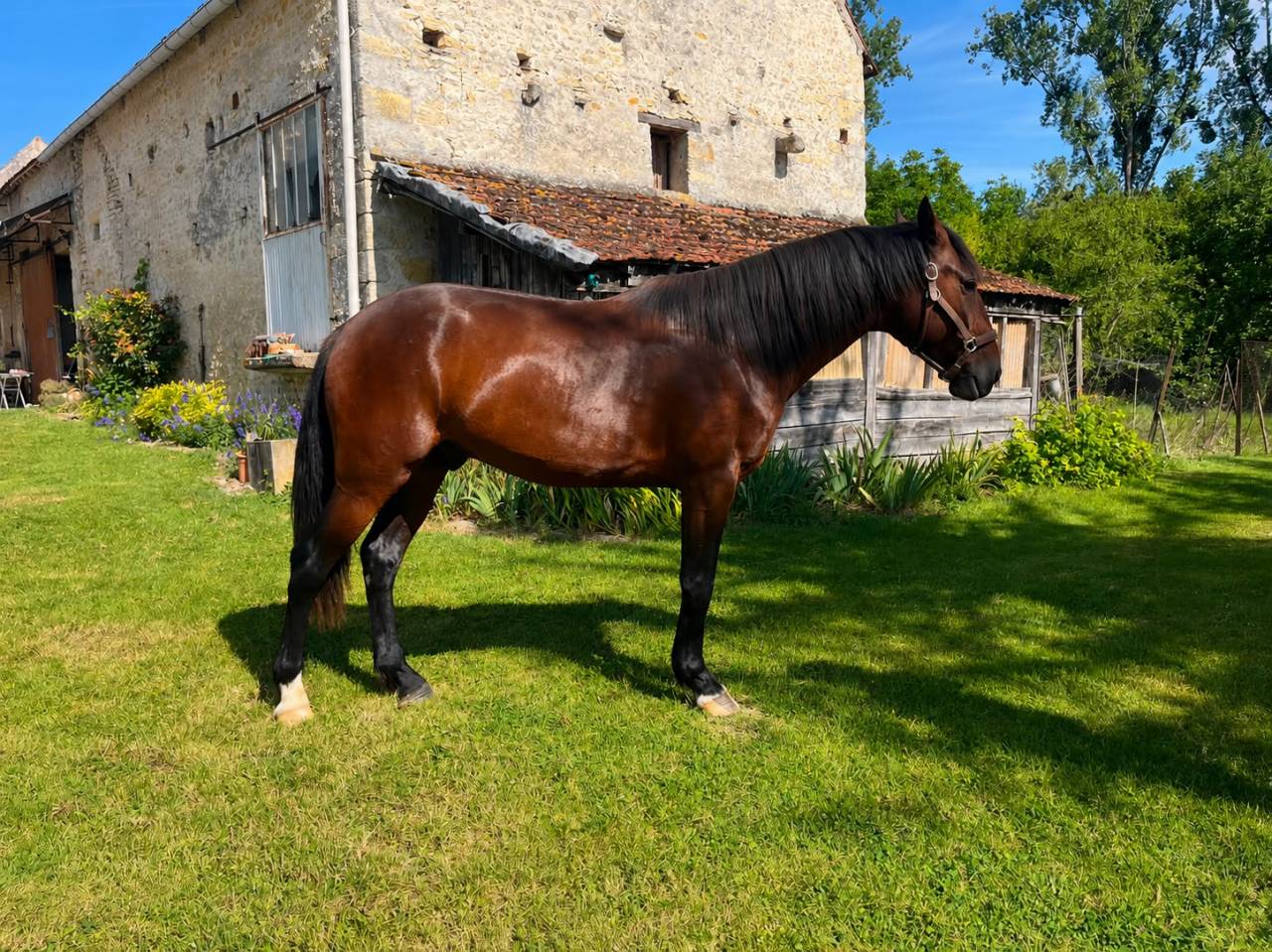 Lunderthaker adorable trotteur de 5ans