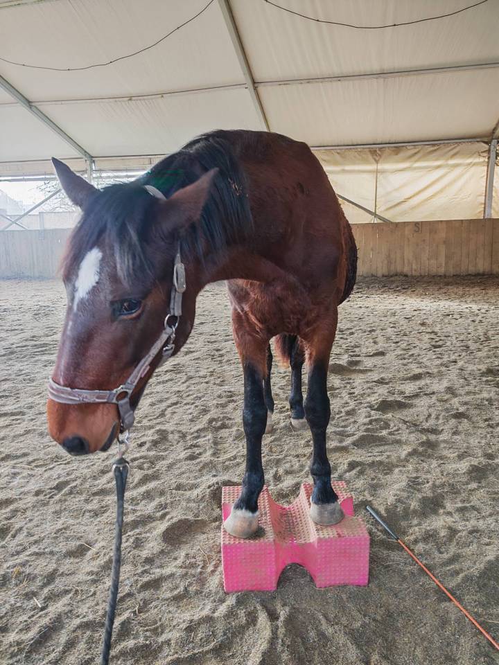 Lunderthaker adorable trotteur de 5ans