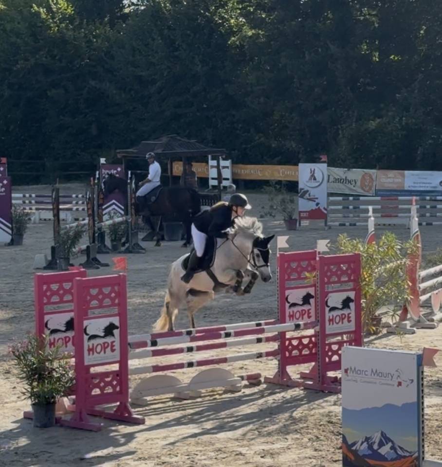 Poney de sport 6 ans 