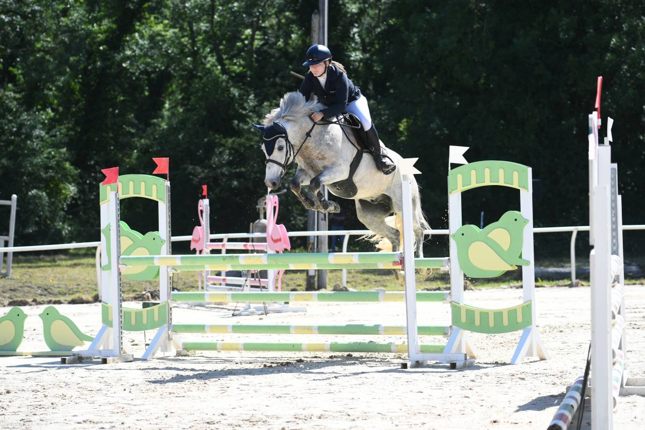 Poney de sport 6 ans 