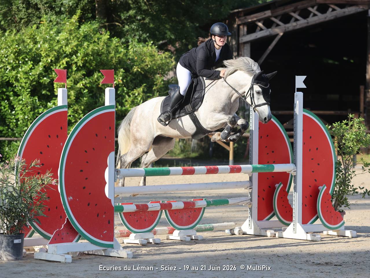 Poney de sport 6 ans 