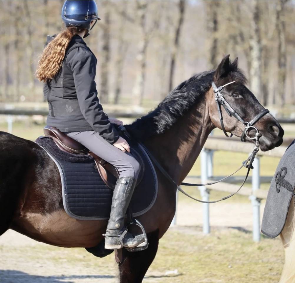 Super Poney D de concours 