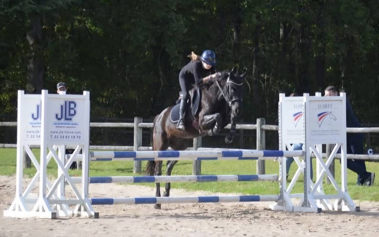 Super Poney D de concours 