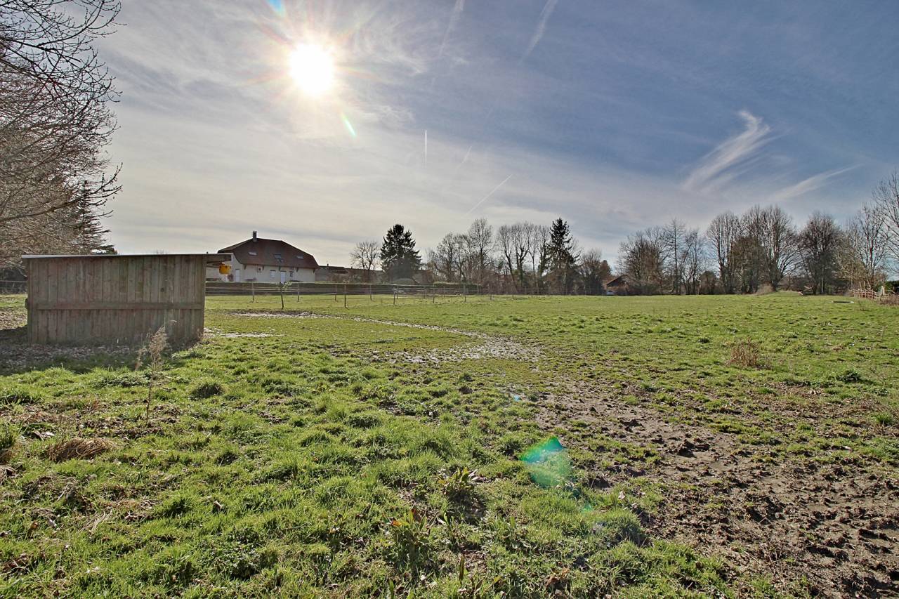 ​​​​​​​PROPRIETE EQUESTRE, 3,5 Ha, avec Maison + G&icirc;te
