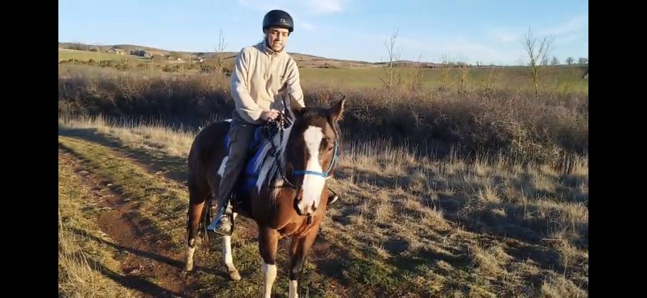 Jument paint horse 4 ans 