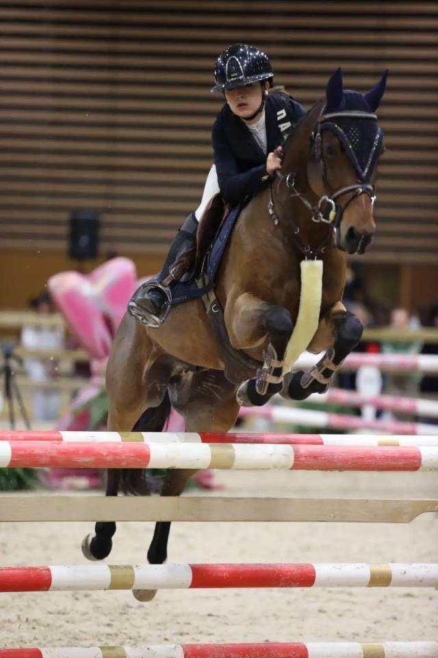 PONEY GRAND PRIX &Agrave; VENDRE 
