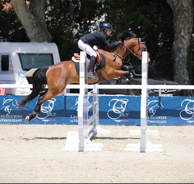 PONEY GRAND PRIX &Agrave; VENDRE 