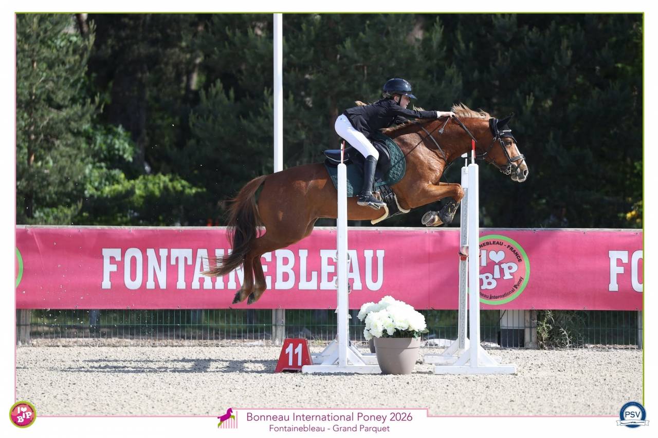 Ponette PFS &agrave; vendre