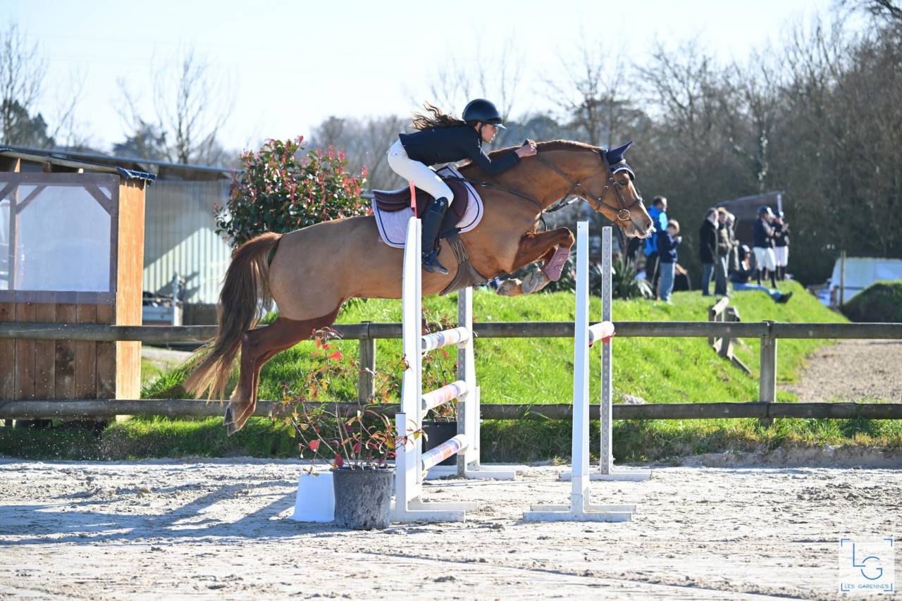 Ponette PFS &agrave; vendre