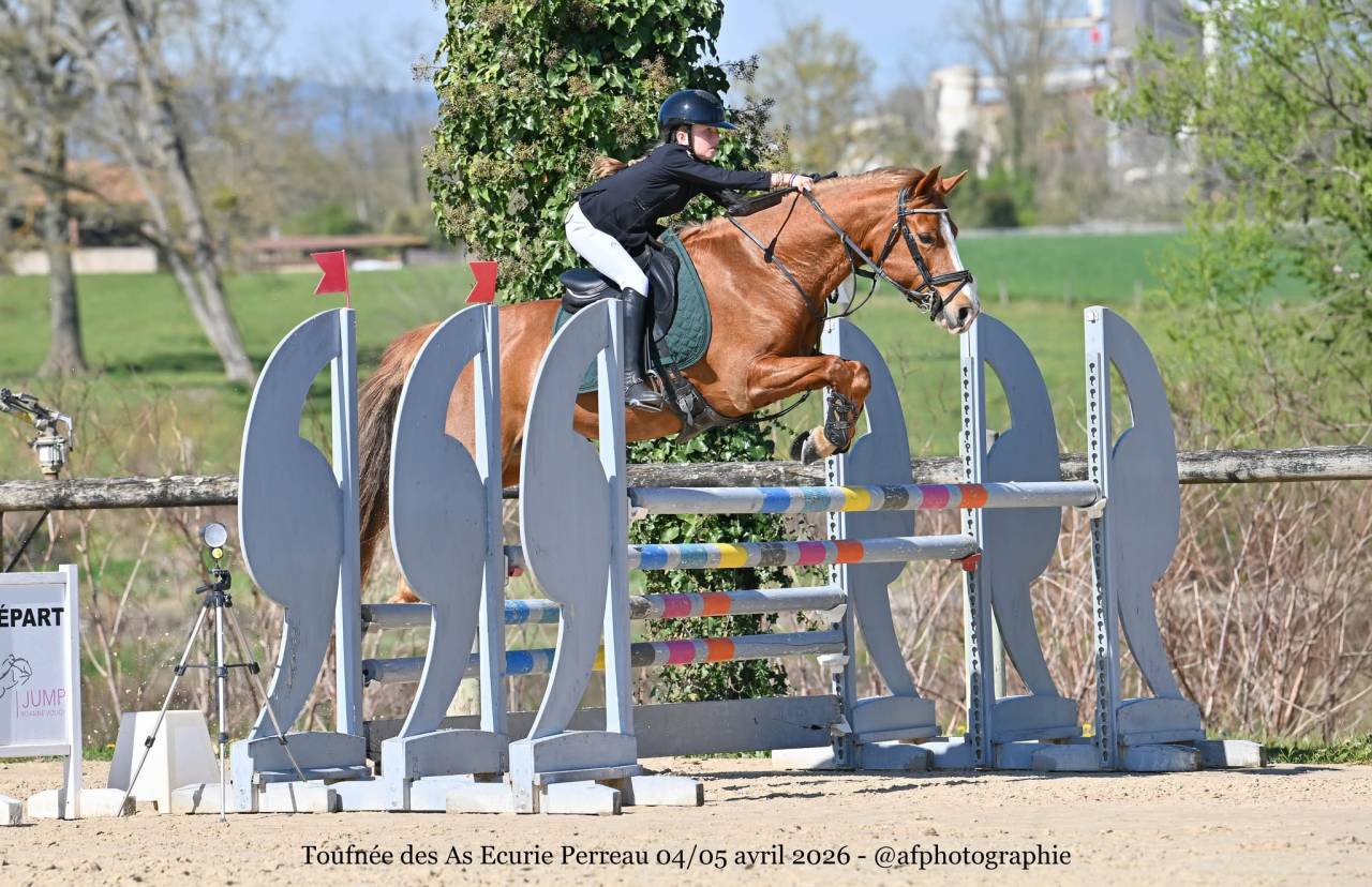 Ponette PFS &agrave; vendre