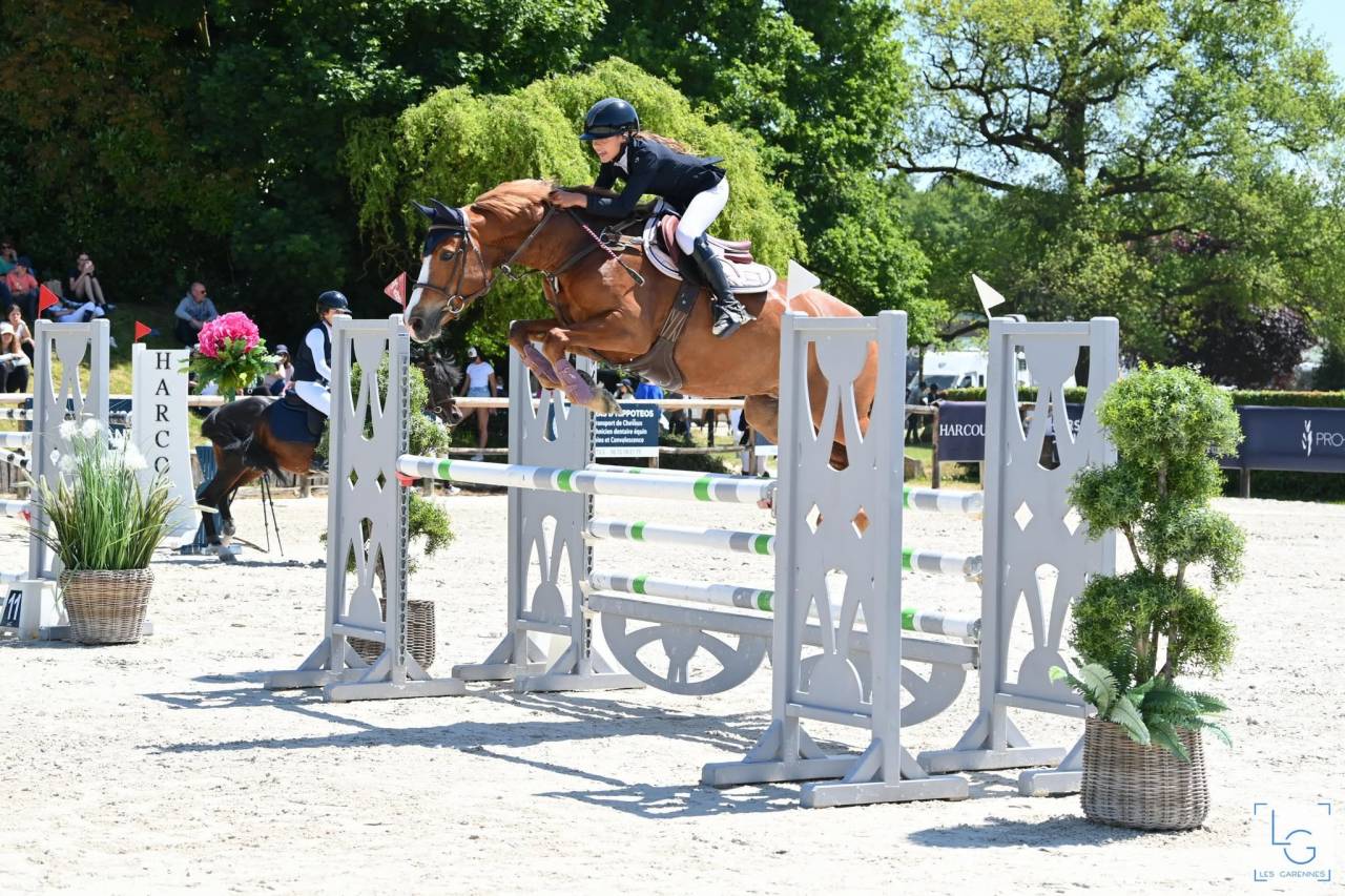 Ponette PFS &agrave; vendre