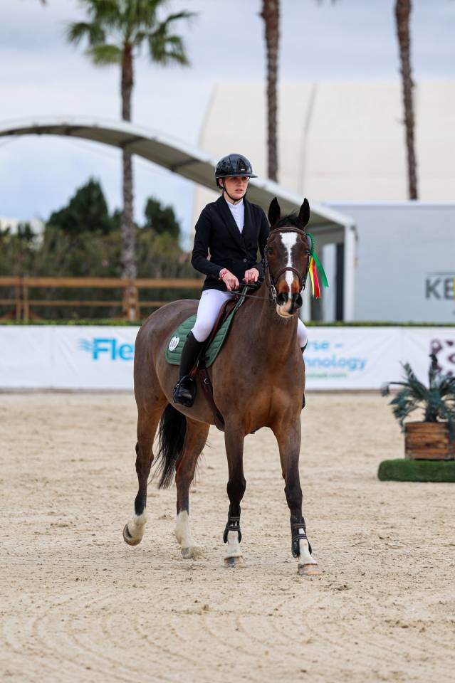 Cheval de sport