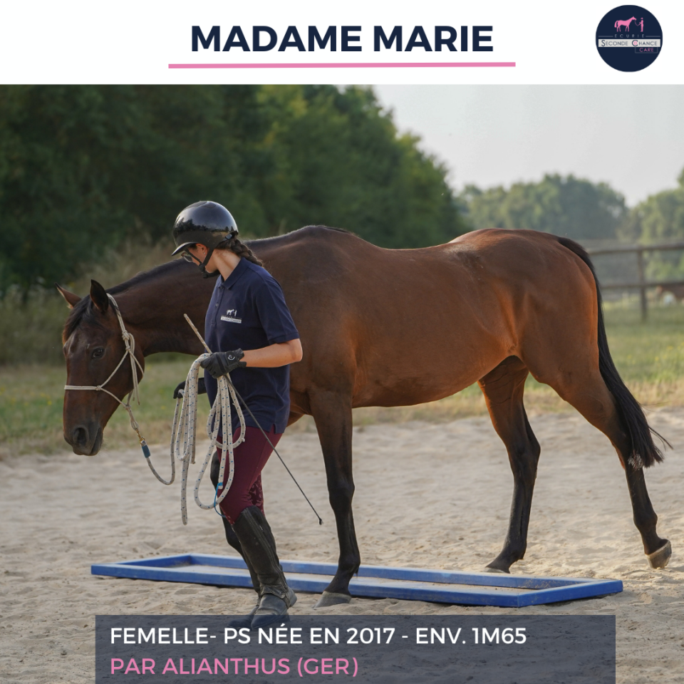 MADAME MARIE - PS - 9 ANS