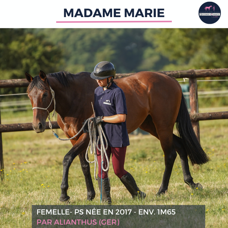MADAME MARIE - PS - 9 ANS