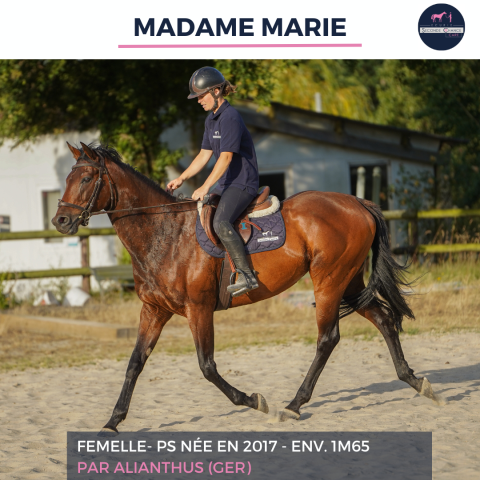 MADAME MARIE - PS - 9 ANS