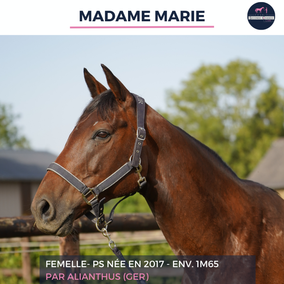 MADAME MARIE - PS - 9 ANS