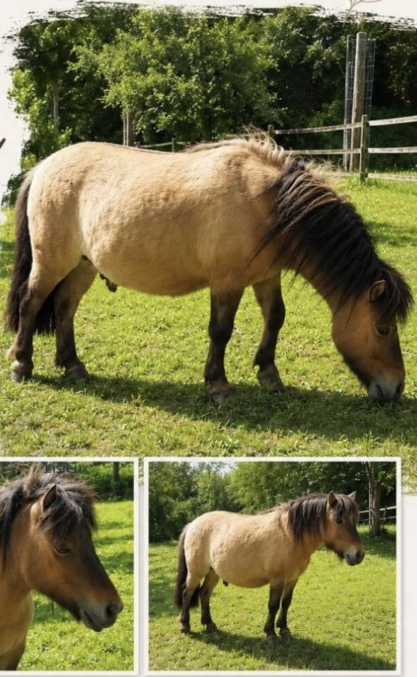 A vendre 