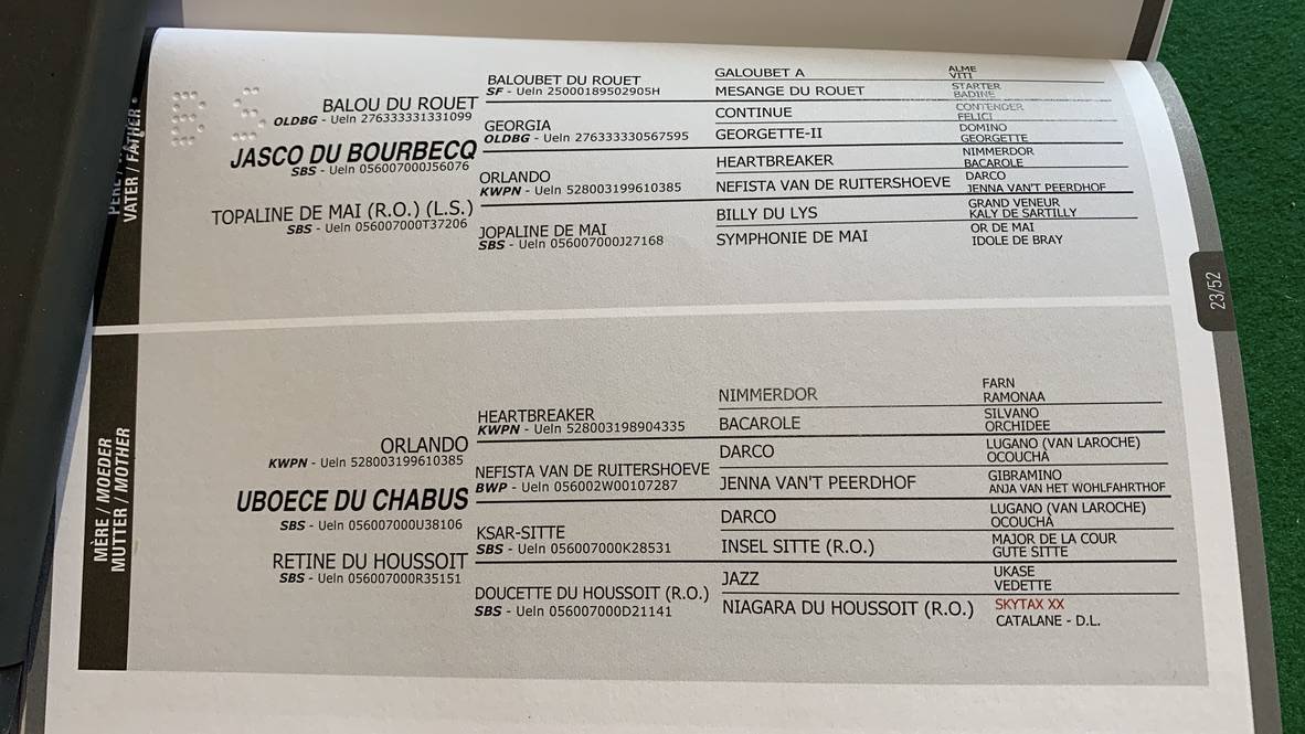 SBS jument 6 ans - CSO