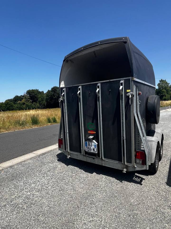 BOCKMANN DUO 2O11