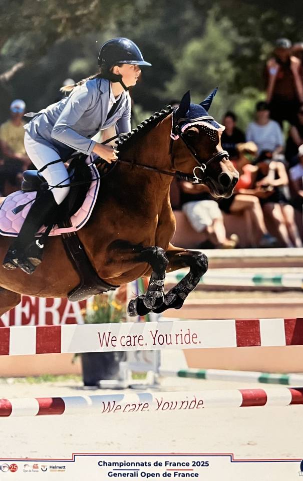 A vendre - Poney sport CSO - 10 ans
