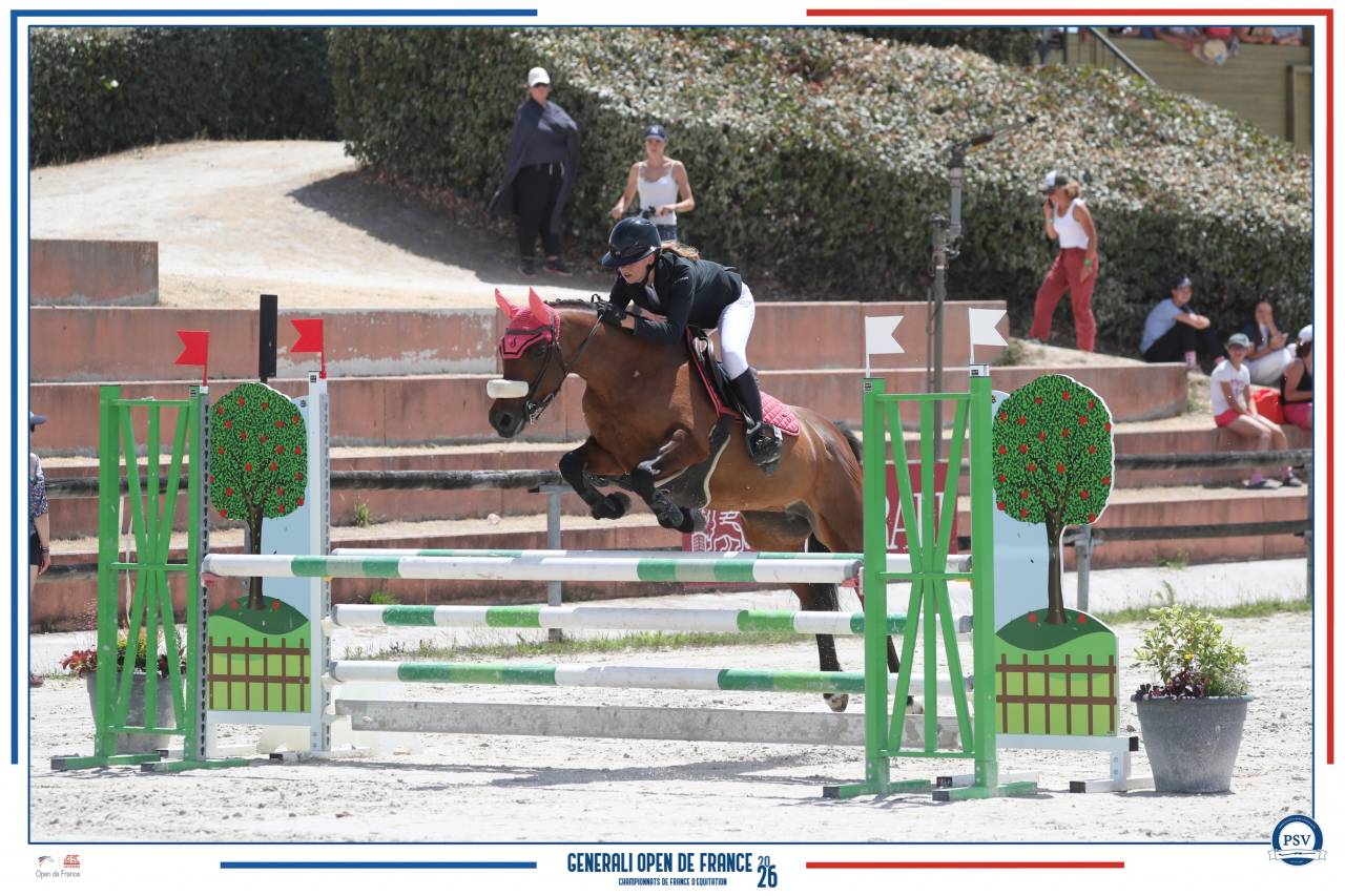 A vendre - Poney sport CSO - 10 ans