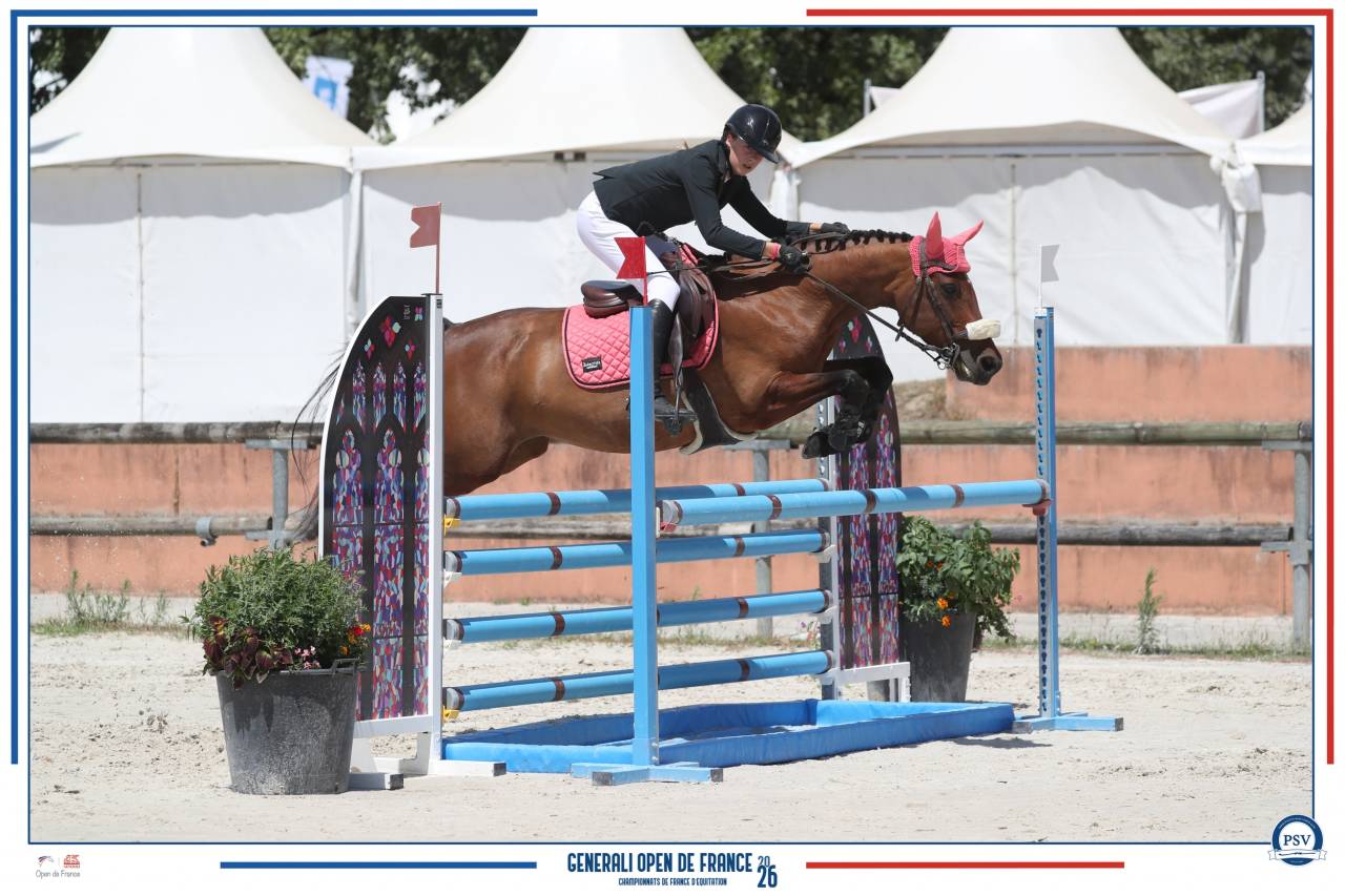 A vendre - Poney sport CSO - 10 ans