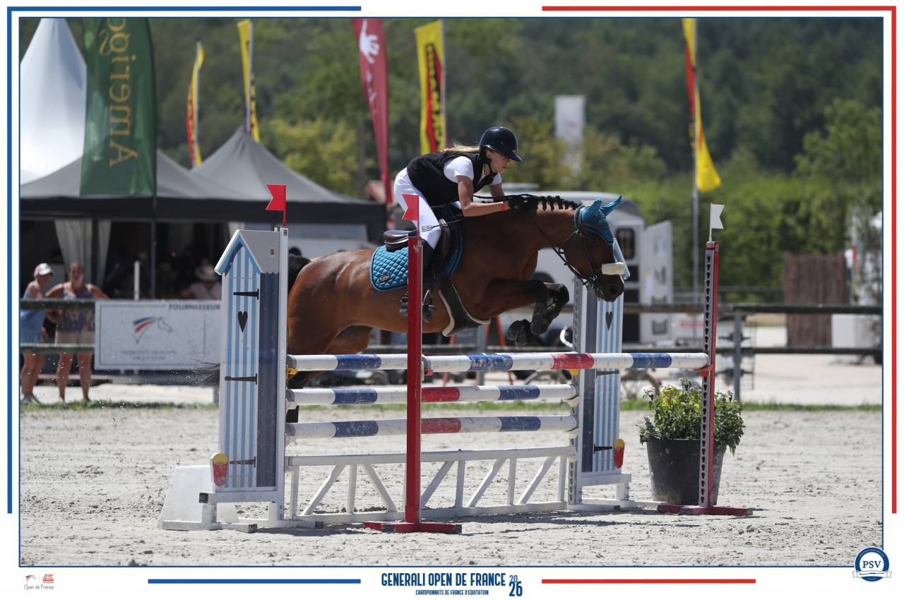 A vendre - Poney sport CSO - 10 ans