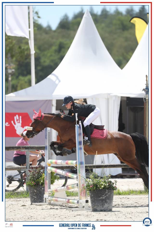 A vendre - Poney sport CSO - 10 ans
