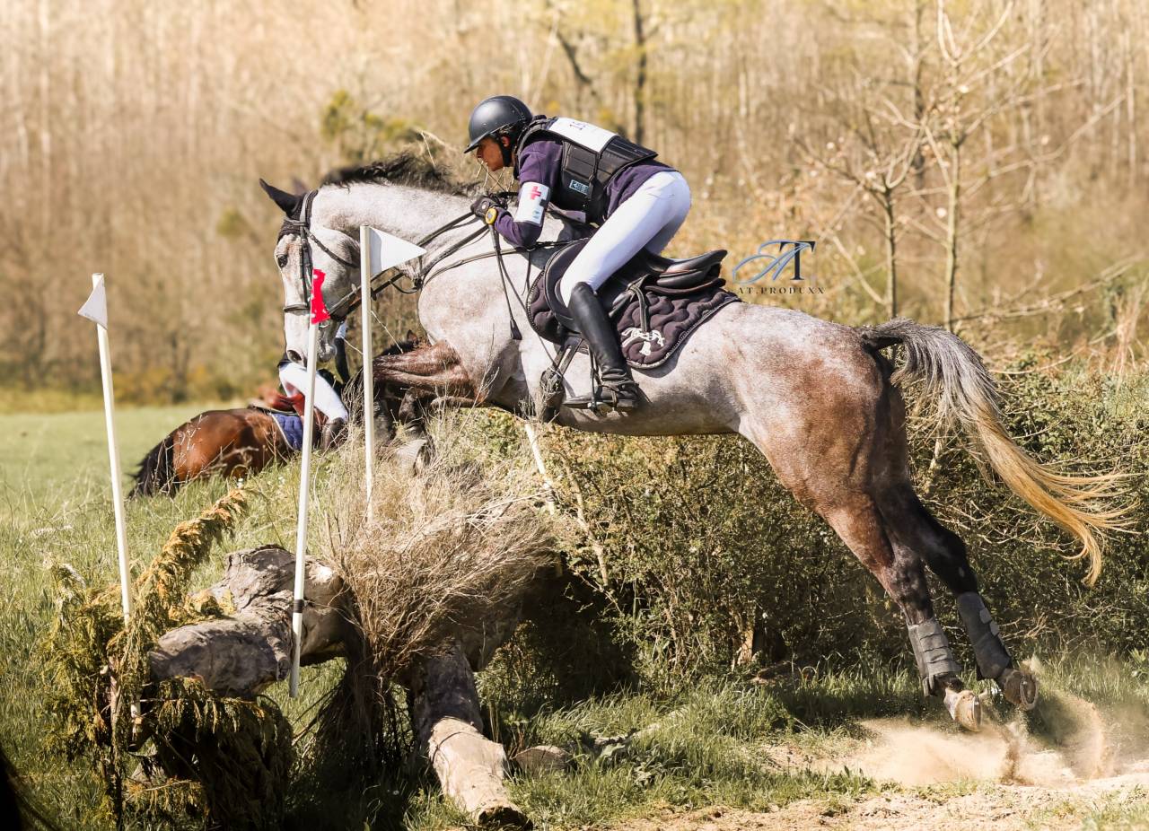 Super hongre SF de 6 ans