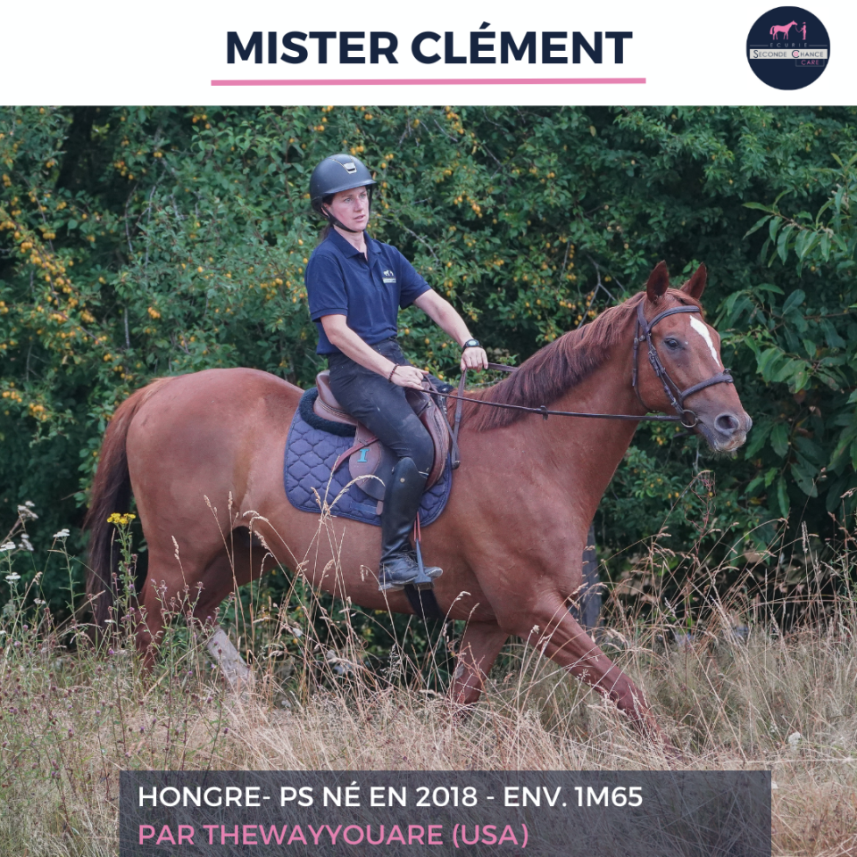 MISTER CLEMENT - PS - 8 ANS
