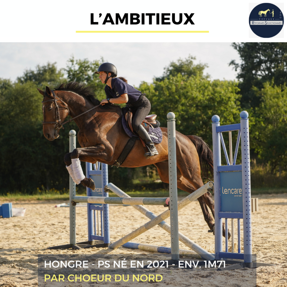 L'AMBITIEUX - PS - 5 ANS 