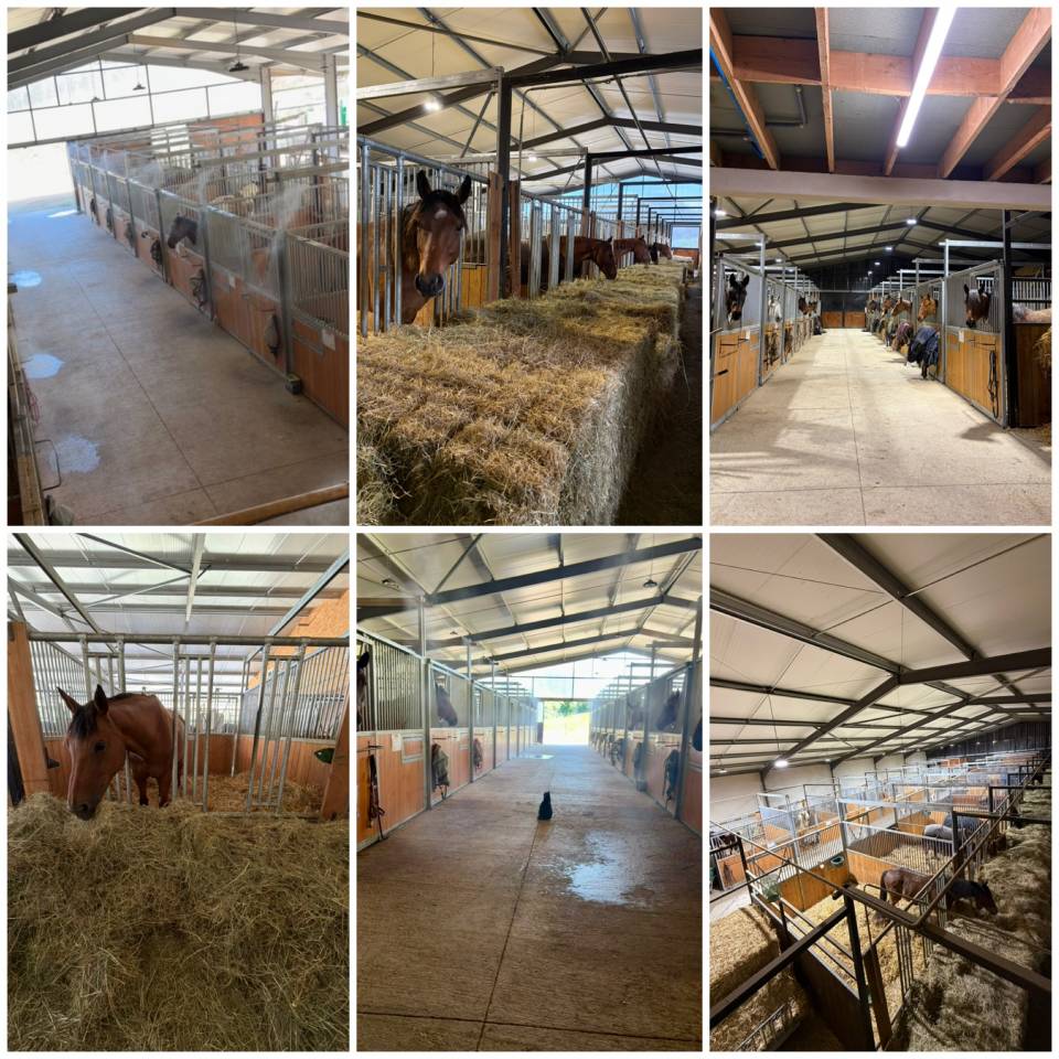 Pension chevaux &ndash; Box & Pr&eacute; &mdash; &Eacute;curie de Baillac 