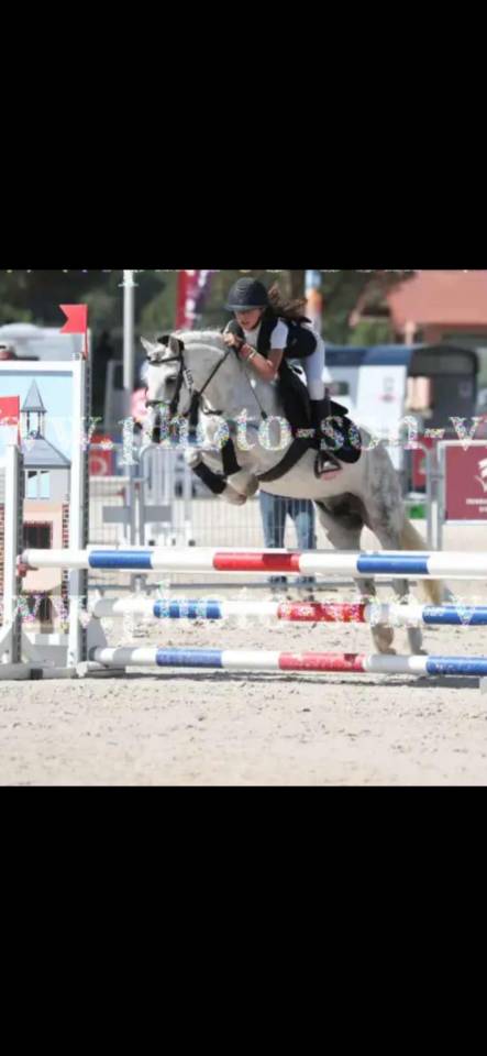 PONETTE B
