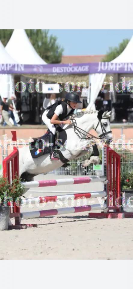 PONETTE B
