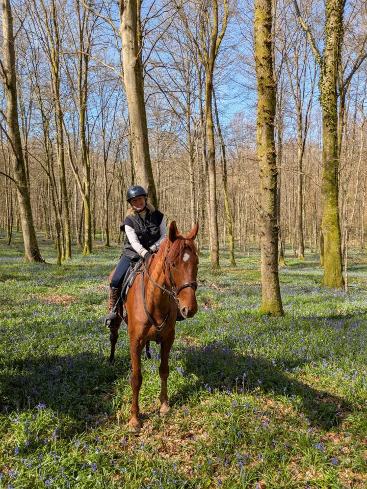 Vends gentil trotteur