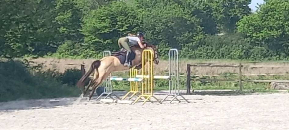 Ponette PFS C de 6 ans